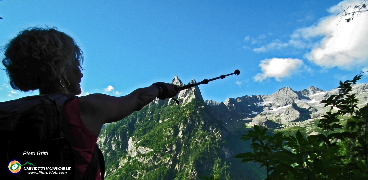 15 Monte Boris e cime d'Averta.JPG